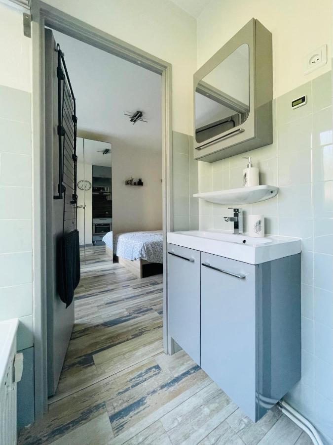 Dnn - Stylish Studio - Free Wifi, Netflix And Parking - Min Away To Basel And Airport - Dishwasher, Washing Machine Saint-Louis  Exteriör bild